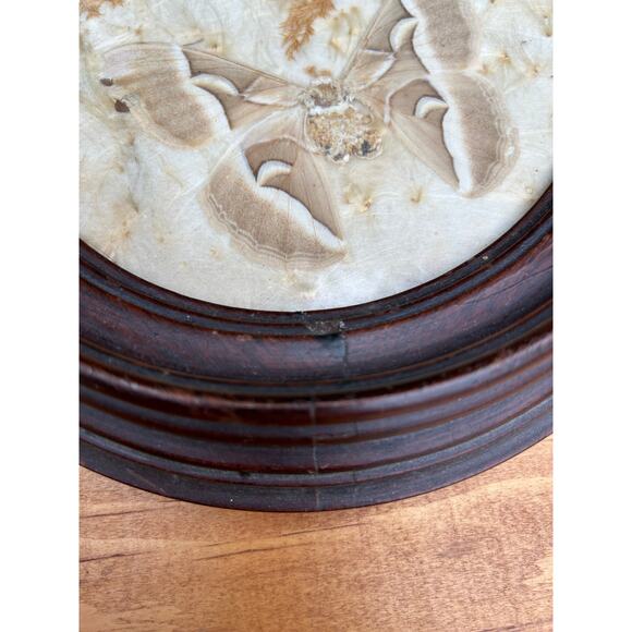 Vintage pressed butterfly and flower simple oval wood frame bubble glass - Picture 9 of 16